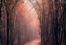 开云体育下载-多特蒙德主场遭遇憾败，球队积分下滑的背后故事