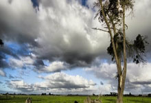 开云体育app-阿尔艾因多点开花，备战进攻火力爆发