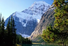 开云体育中国-西悉尼流浪者防线协作提升，力求限制攻击