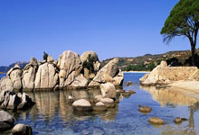 开云体育下载-多特蒙德主场遭遇憾败，球队积分下滑的背后故事