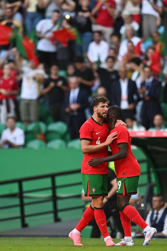 荷兰客场取胜土耳其,提前出线 荷兰客场取胜土耳其,提前出线