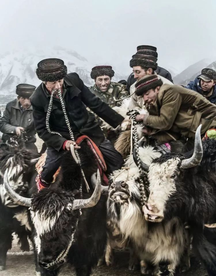 开云体育app-辽宁白鸽队百折不挠，胜券在握取得胜利