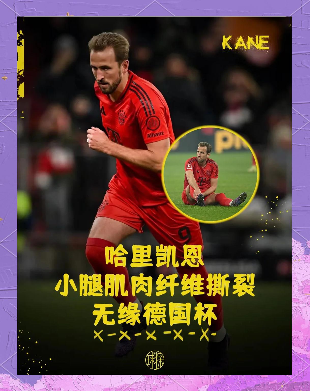 关于巴西强势利物浦，哈里·凯恩统治全场的信息