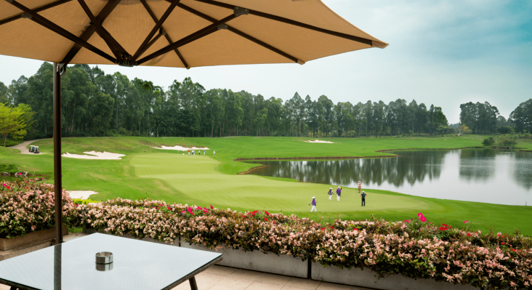 包含回顾高尔夫经典时刻：传奇再现的词条