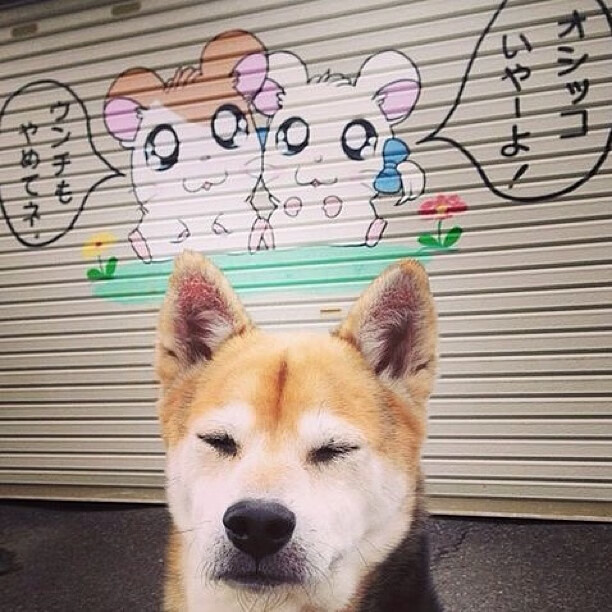 东决夜，无声处听惊雷，奥纳纳的自我证明之战