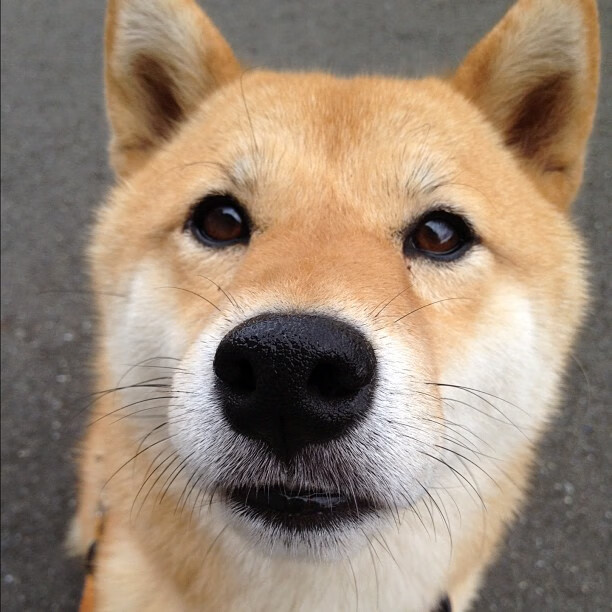 卡拉斯科无双表现引爆全场,拉齐奥友谊赛力克乌拉圭队