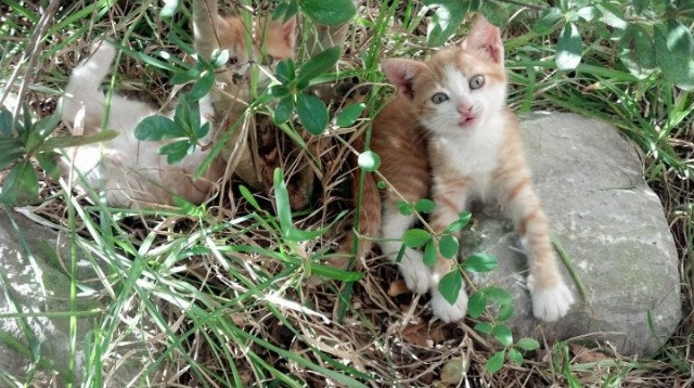 开云平台-终结者的凝视，布雷默如何用一脚重炮完成绿茵审判