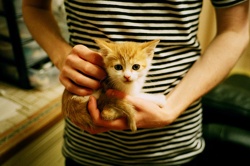 冰与火的对决,辽宁封锁灰熊,马克西奏响关键绝唱