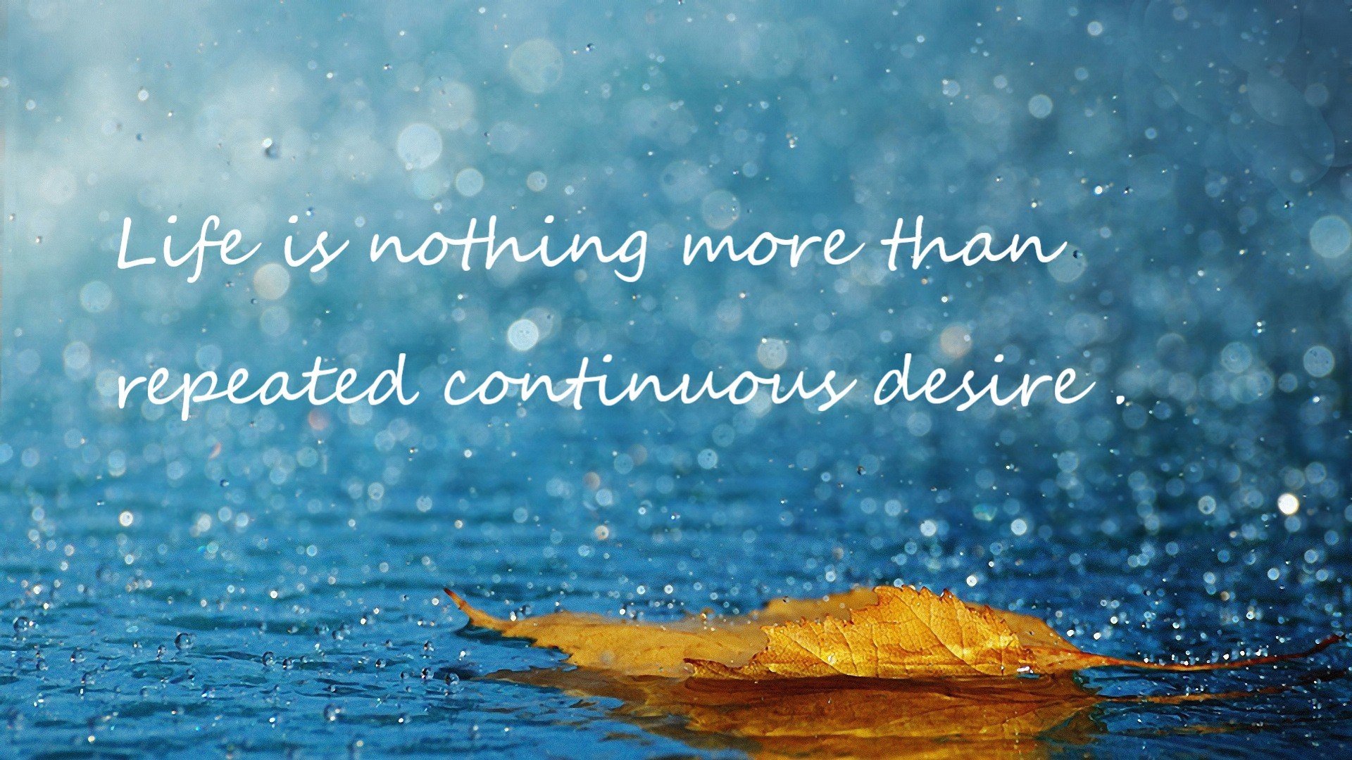 开云下载-勇者新章，尼克斯击溃雷霆风暴，季后赛征程吹响争冠号角