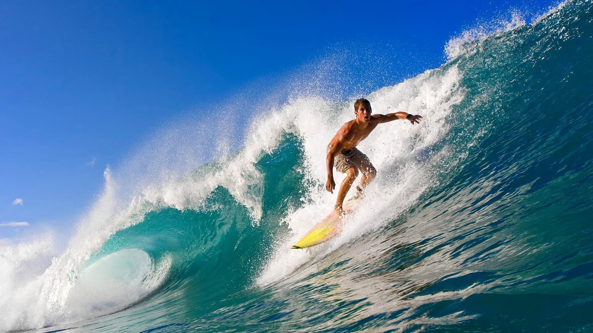 克莱全场最佳无争议！深圳队力克吉林队，外援闪耀定乾坤