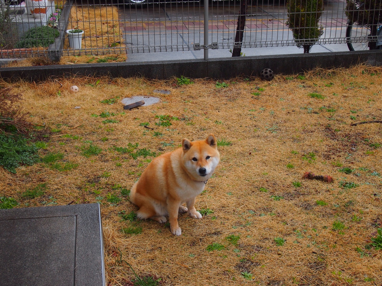 开云官网-绝杀奇迹！姆巴佩化身关键先生，哥斯达黎加补时逆转银河战舰