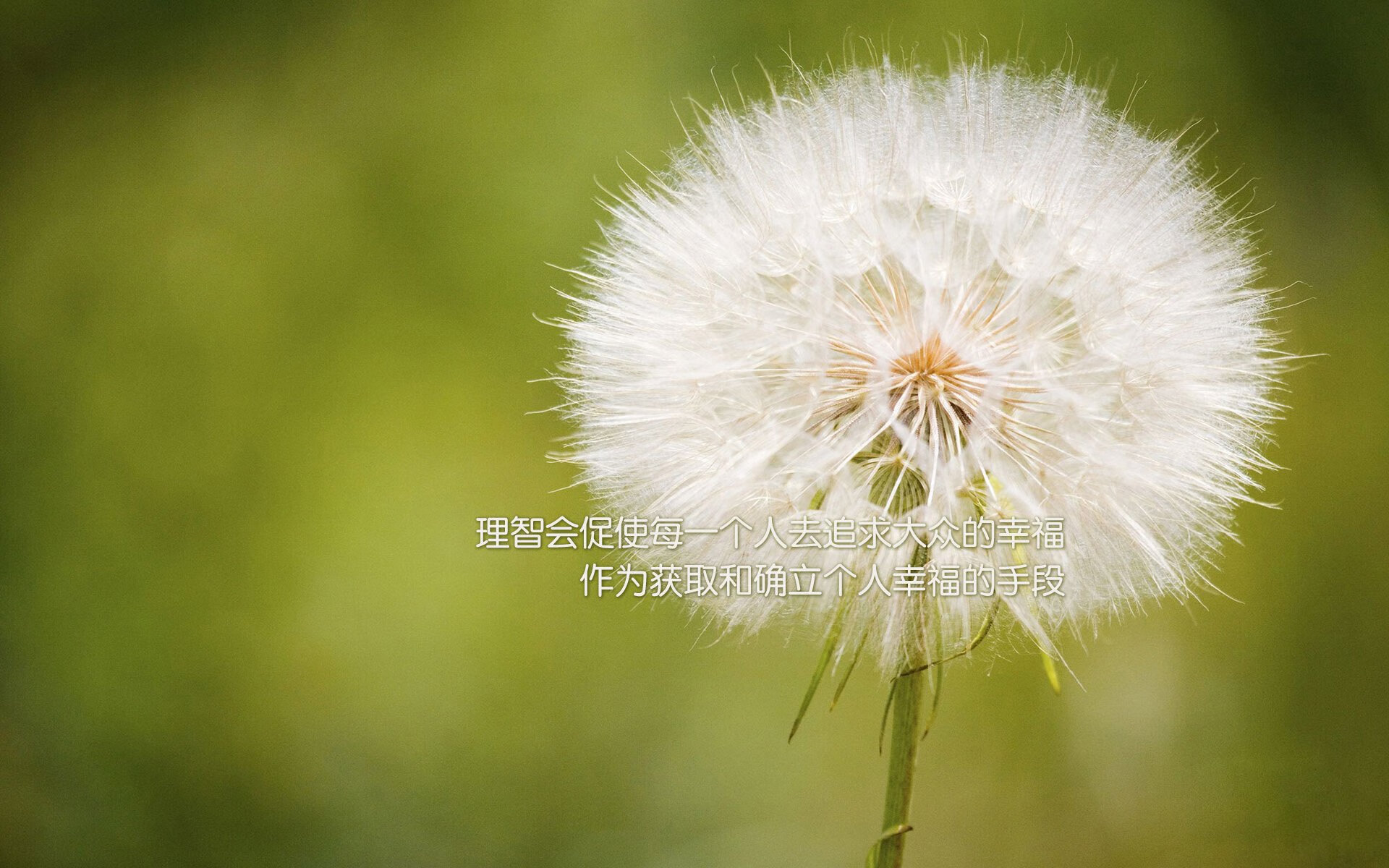 开云体育-刹车区外的神锋，当皮克在F1街道赛之夜上演帽子戏法