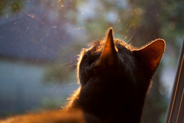 开云体育在线-欧洲绿茵场上的历史重压与救赎时刻—从法德博弈到阿圭罗绝杀