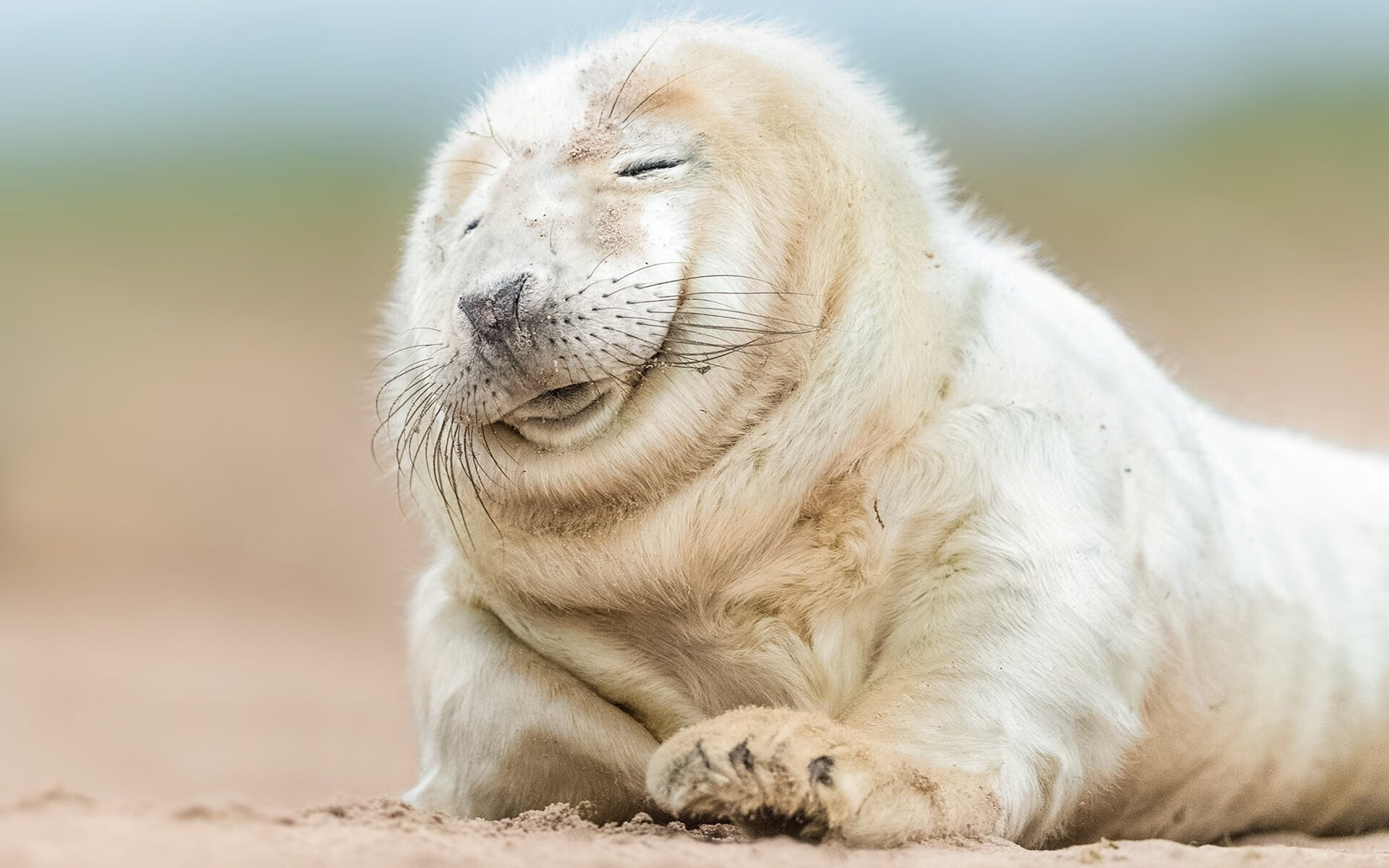 开云体育APP下载-天使降临威斯特法伦，迪马利亚射落里昂，助多特蒙德抢占争冠天王山