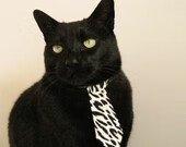 开云体育登录-塔图姆临危受命显神威，山西队跨联盟压制76人创奇迹