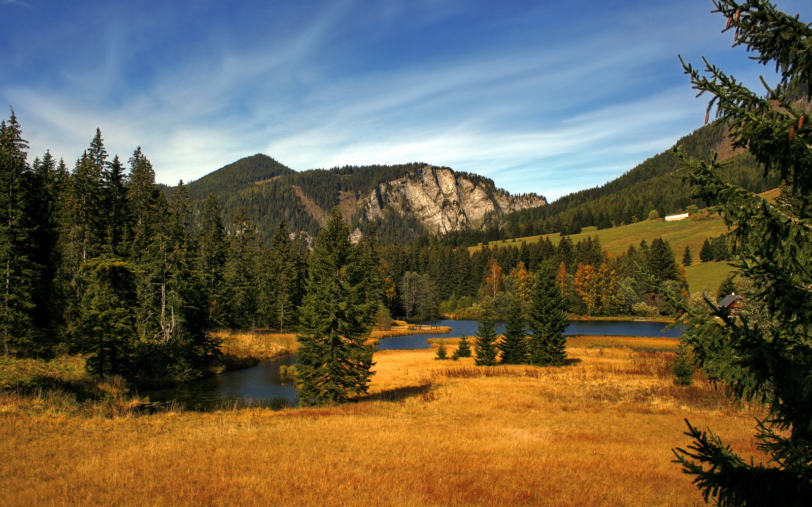 篮网完胜深圳队展国际风采，爱德华兹总决赛接管比赛铸传奇