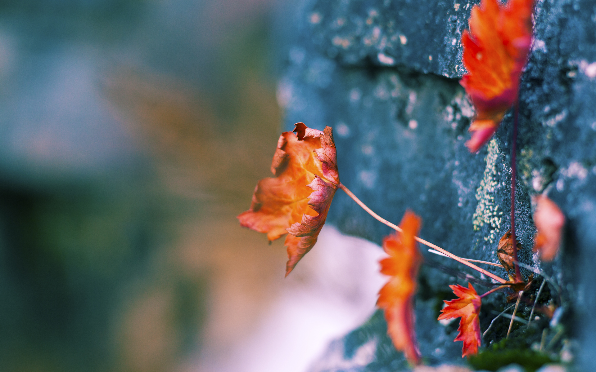 末节风云!杰伦格林关键先生诞生记,新疆队逆转爵士,谱写篮坛新传奇