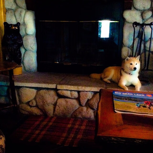 开云平台-奇迹之夜，中国球队粉碎雷恩神话，拉亚凌空一击书写亚洲新篇