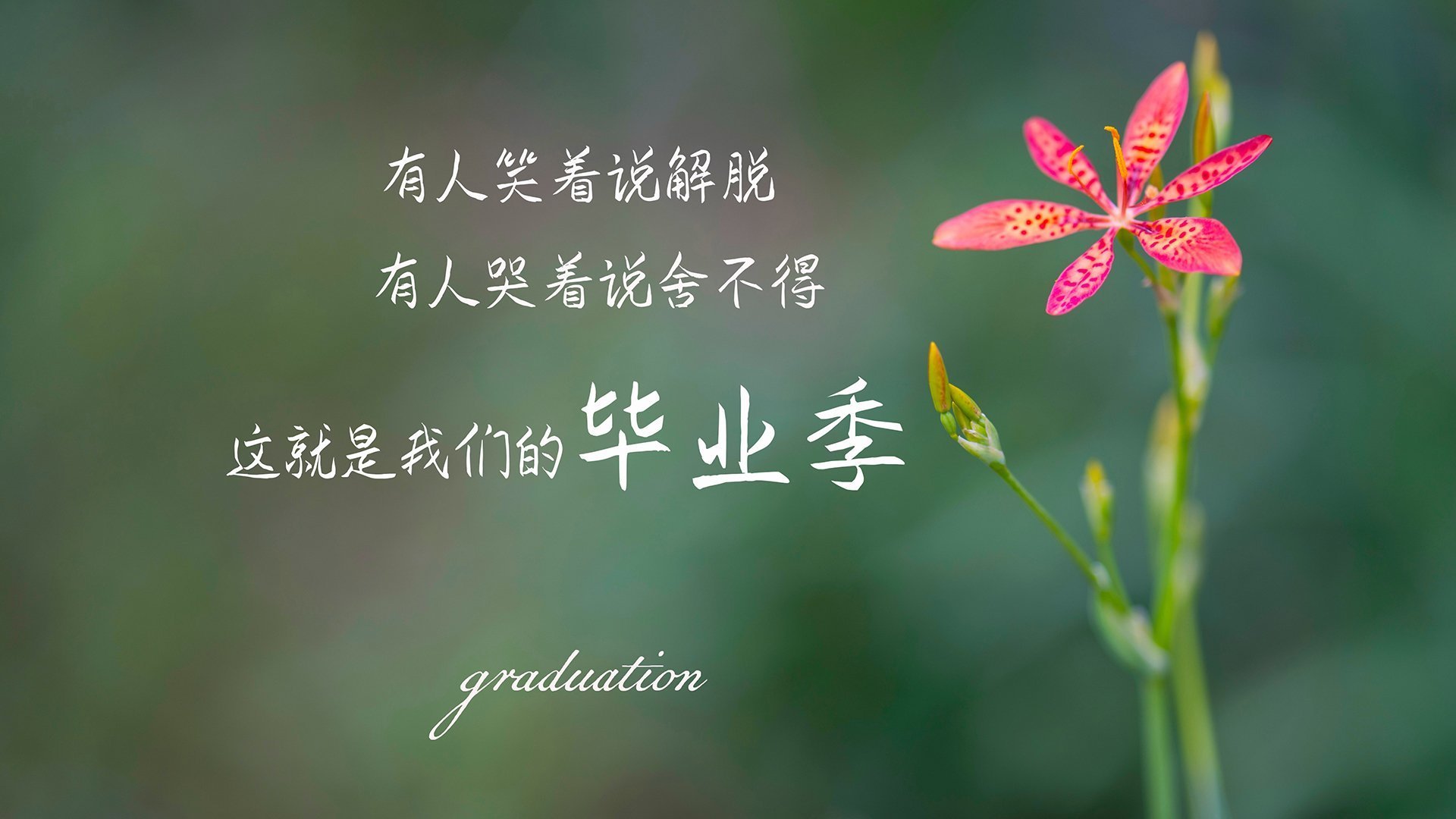 开云体育APP下载-英格拉姆关键战不手软，雷霆队强势压制上海队获胜利